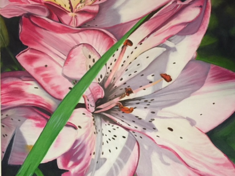 Tiger Lily