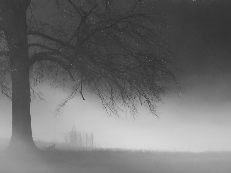 Winter Pond Black & White