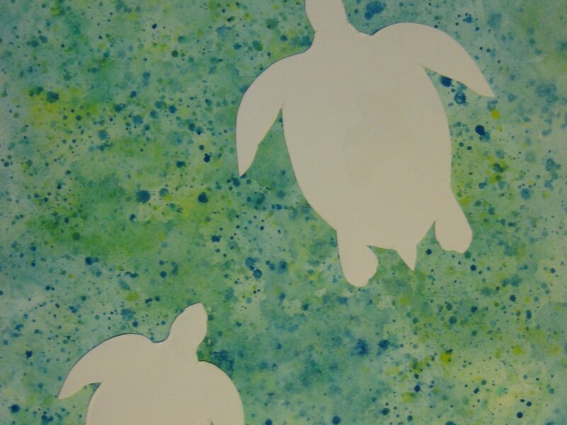 Turtle Soup