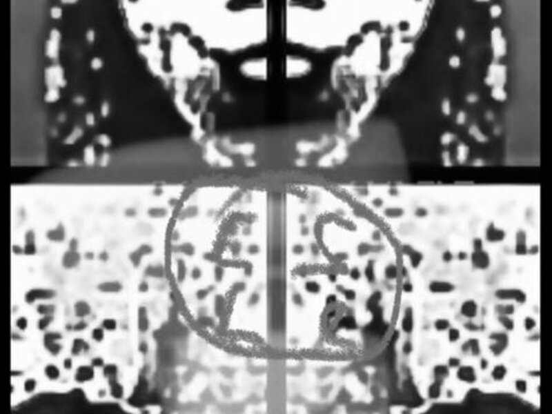 Rusalkas on Land- Twin dancers and their pitbull Tommy 