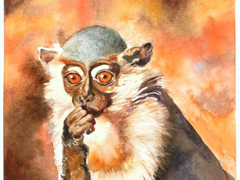 Uncle Monkey watercolor painting