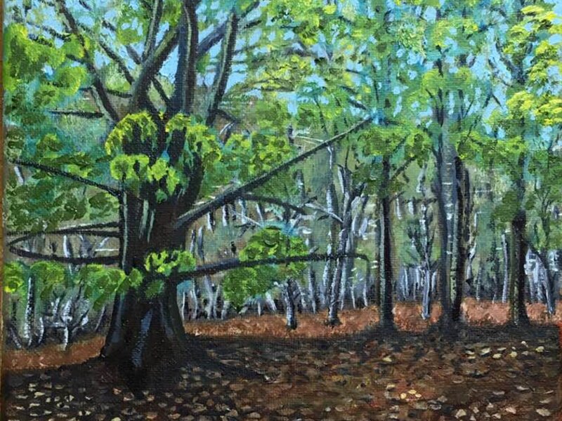Vermont Woods