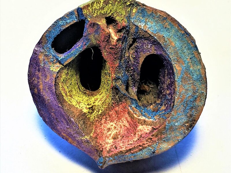 Half shell walnut, painted with prismacolor pencils, oil pastels