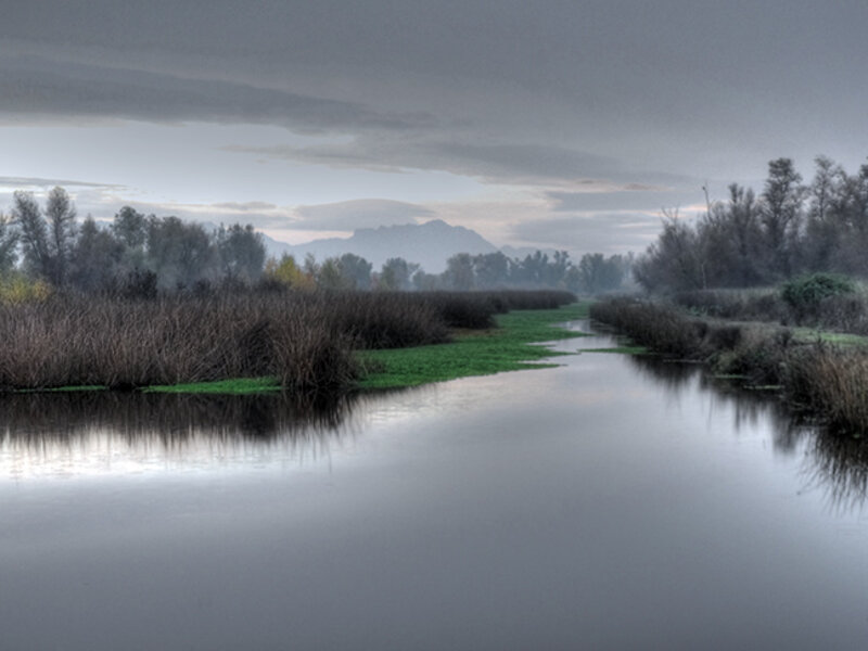 Grey Lodge Slough