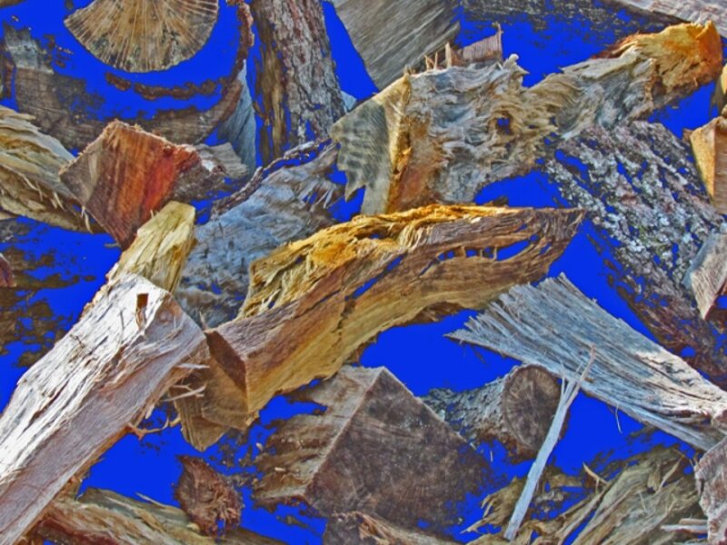 Wood Pile in Blue