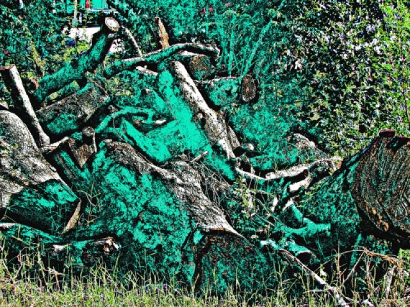 Wood Pile in Green