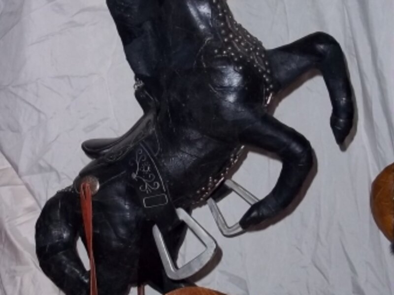 Cowboys Pet