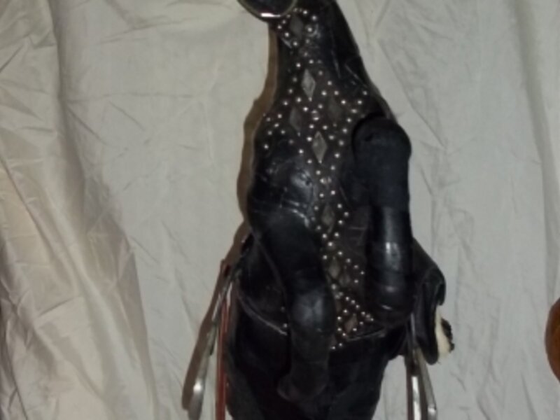 Cowboys Pet