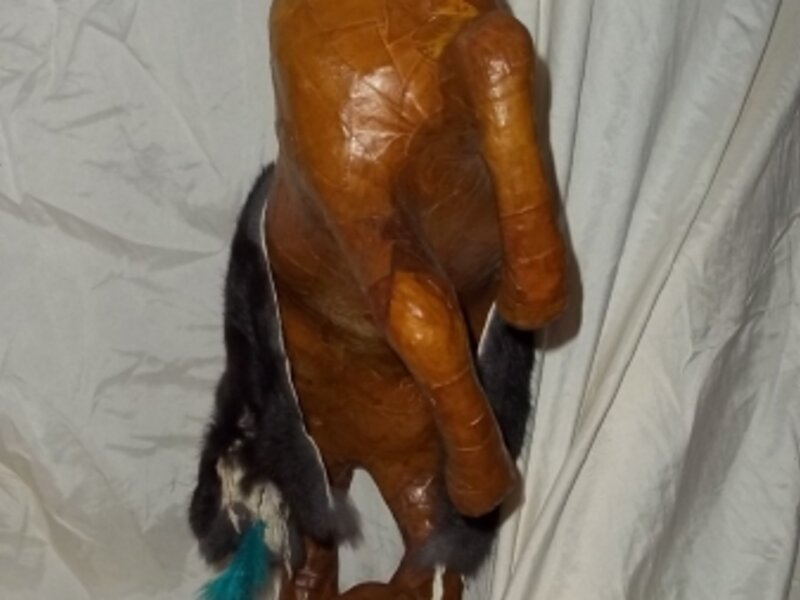 The Indian Friend