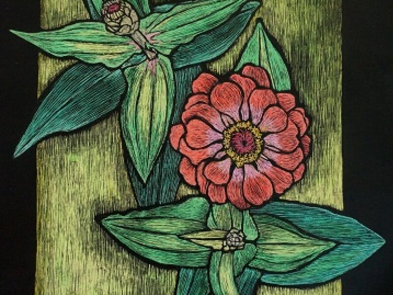 Zinnia