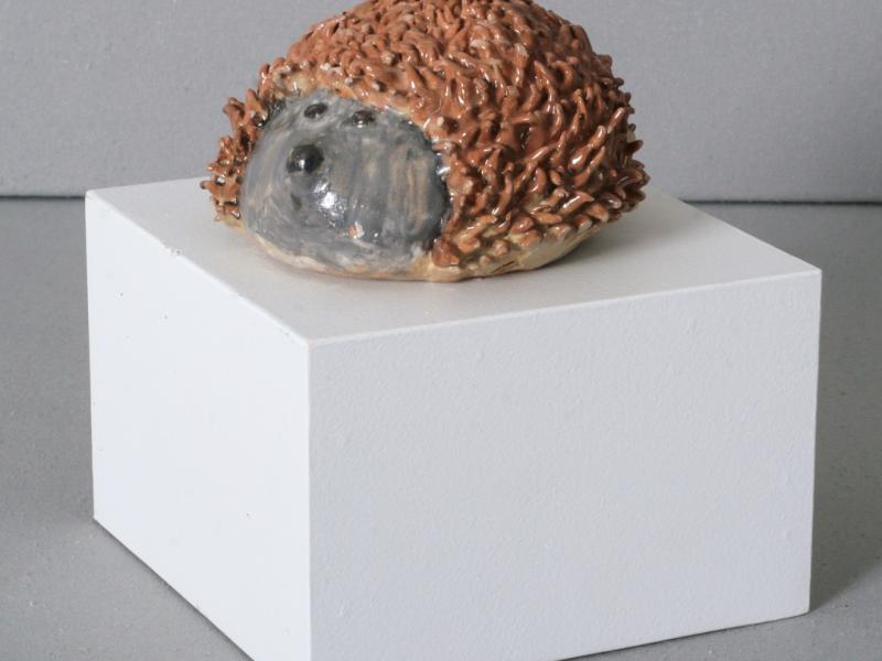 9th Annual Exhibit hedgehog