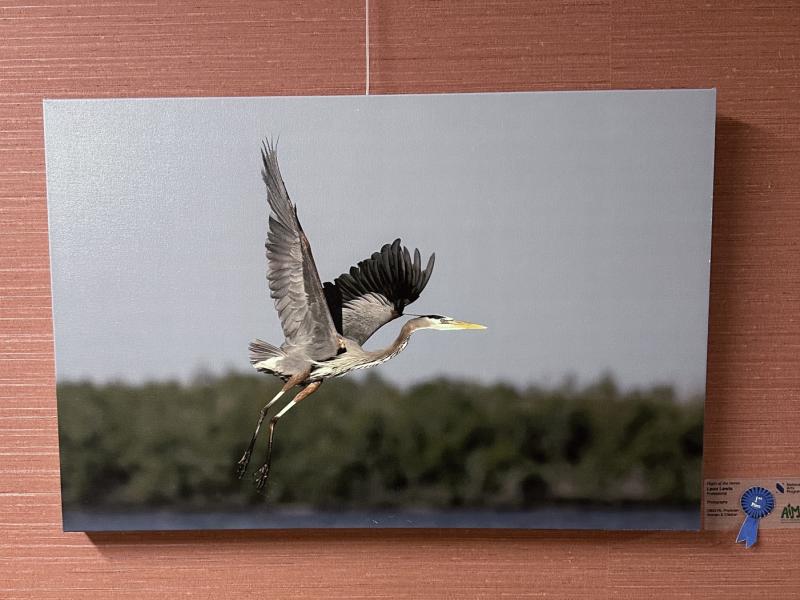 5th Annual Exhibit Flight of the Heron