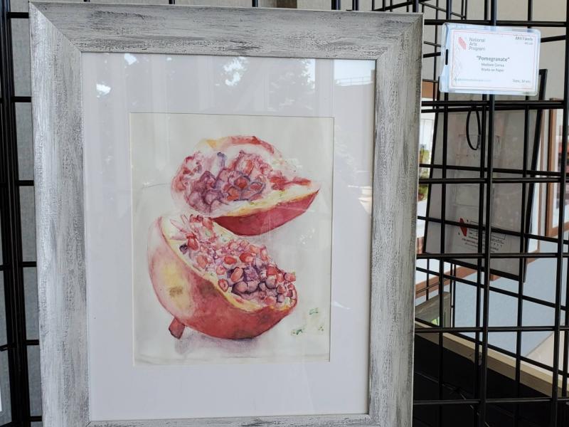 6th Annual Exhibit Pomegranate