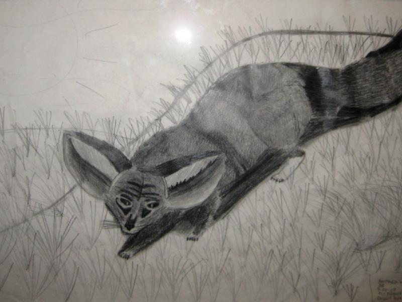 7th Annual Exhibit Desert Fox