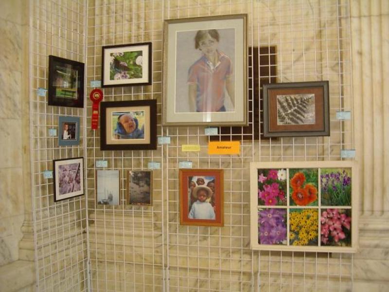 4th Annual Exhibit 2010 Amateur Display Area #1