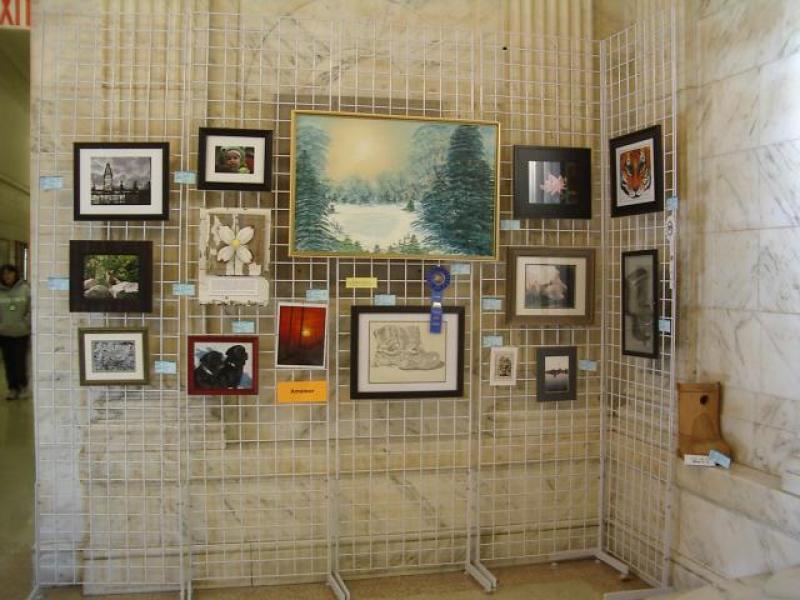 4th Annual Exhibit 2010 Amateur Display Area #2