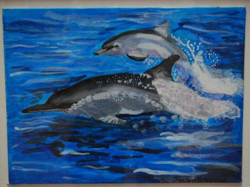 4th Exhibit Jumping, Splashing Dolphins