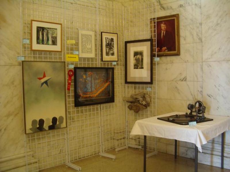 4th Annual Exhibit 2010 Professional Display Area #1
