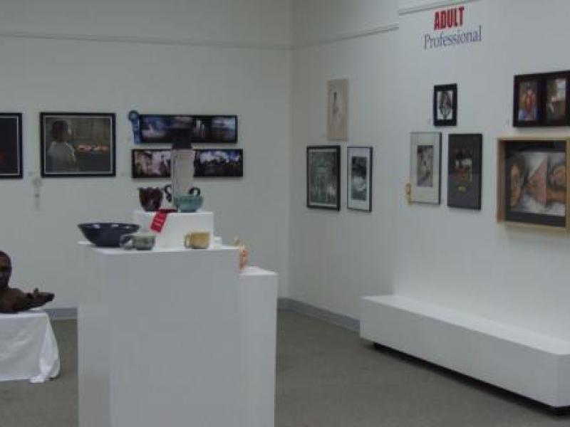 3rd Annual Exhibit Artwork on display at the 2009 NAP Exhibition in Savannah, GA