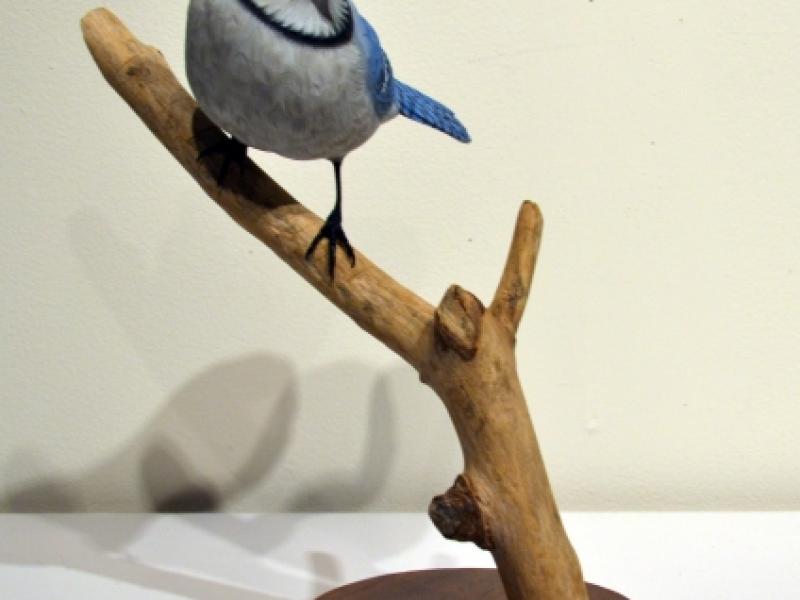 3rd Annual Exhibit Blue Jay