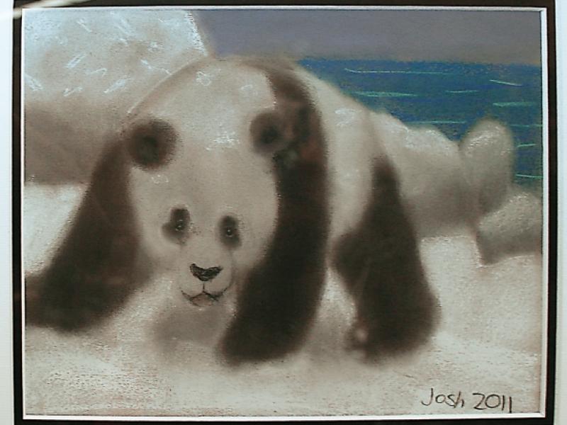 10th Annual Exhibit Panda in the Snow