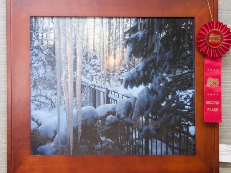 9th Annual Exhibit Winter Dawn