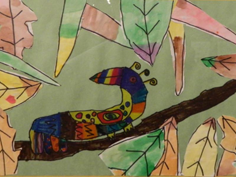 3rd Annual Exhibit Rainforest Bird