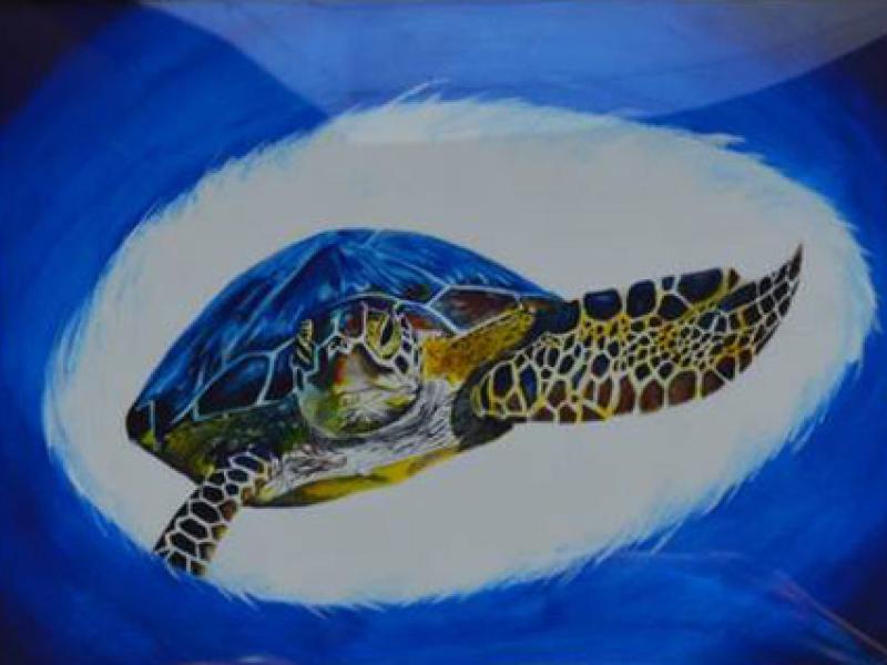 9th Annual Exhibit Sea Turtle