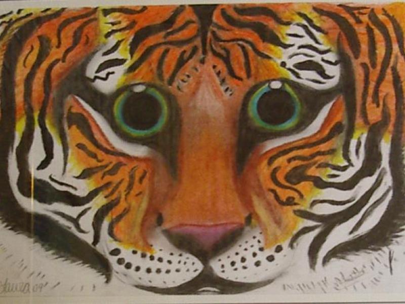 4th Annual Exhibit Eyes of the Tiger