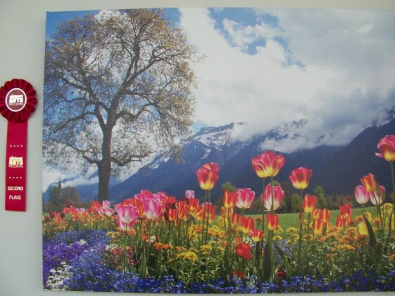7th Annual Exhibit Tulips in the Swiss Alps
