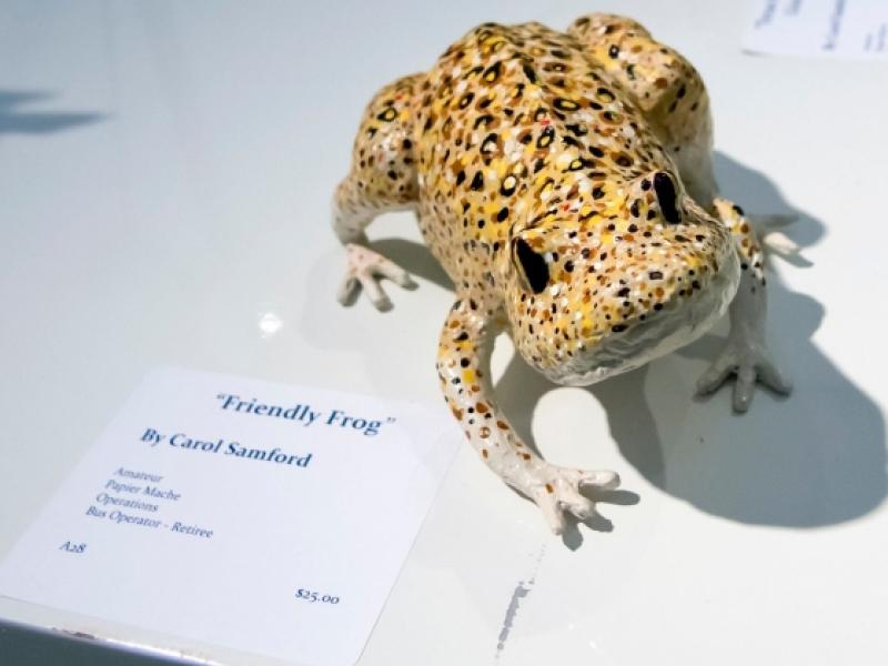 2nd Annual Exhibit Friendly Frog
