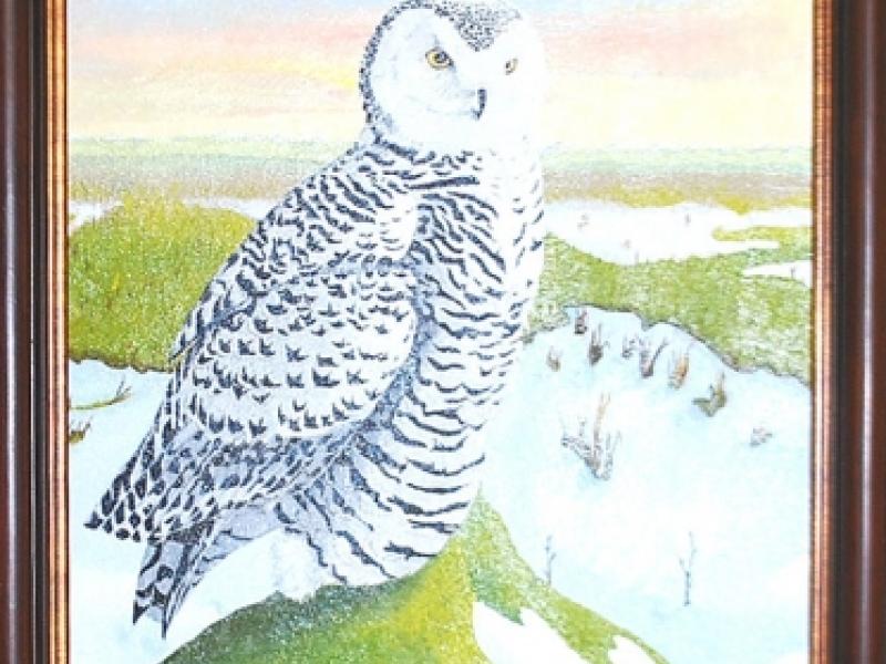 4th Annual Exhibit Snow Owl