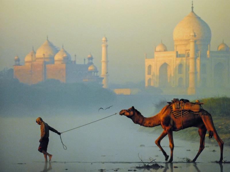 13th Annual Exhibit Morning Crossing at the Taj Mahal