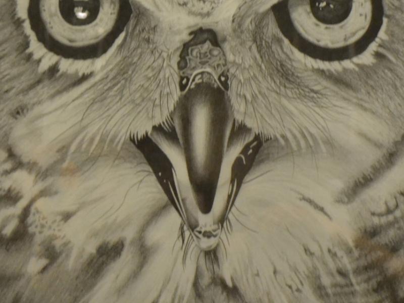 7th Annual Exhibit Owl