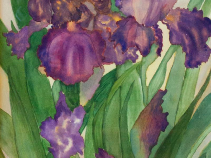10th Annual Exhibit Purple Irises