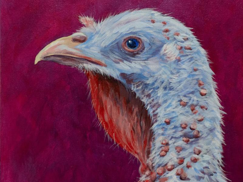 turkey painting