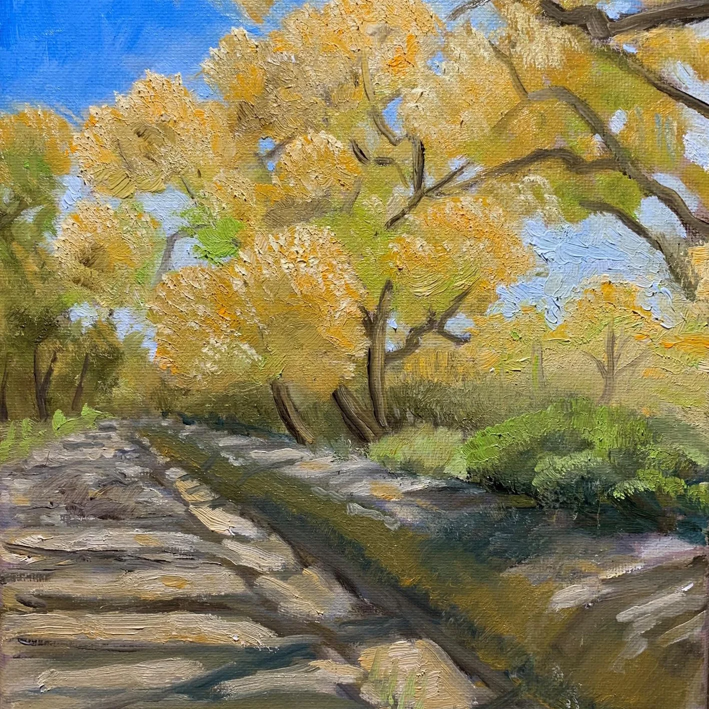 Cottonwood Acequia