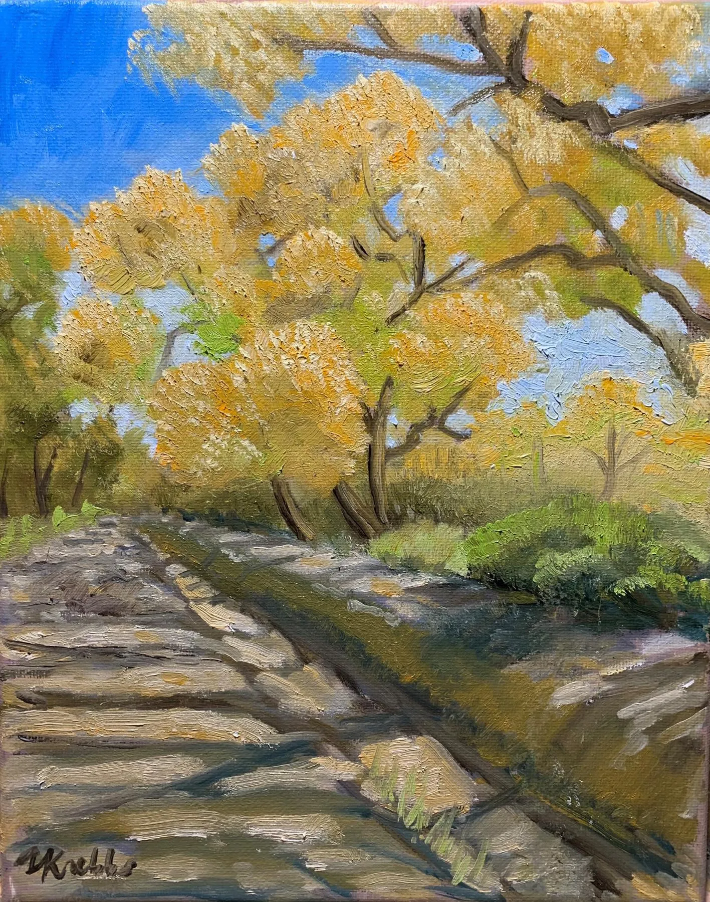 Cottonwood Acequia