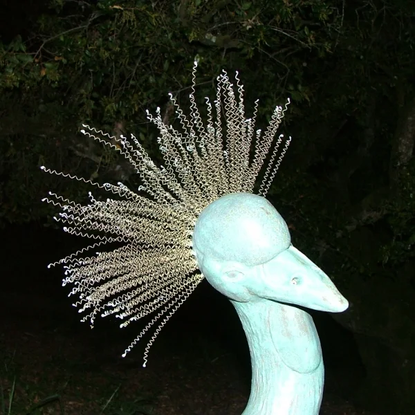 Suzi Shafer
