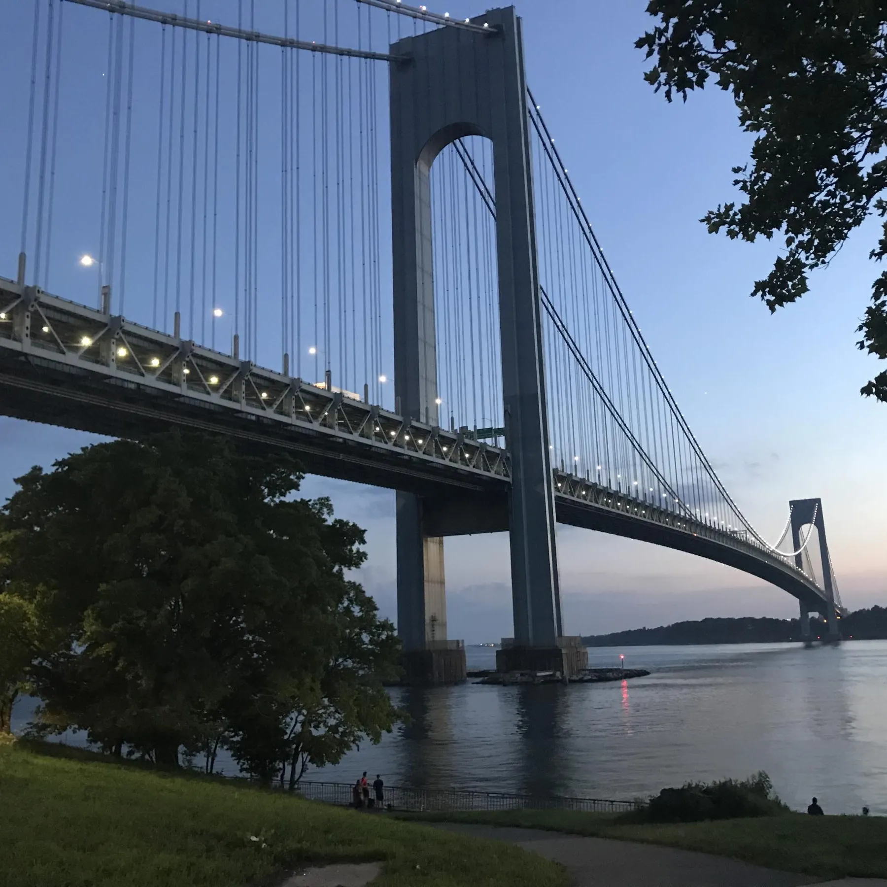 Verrazano bridge