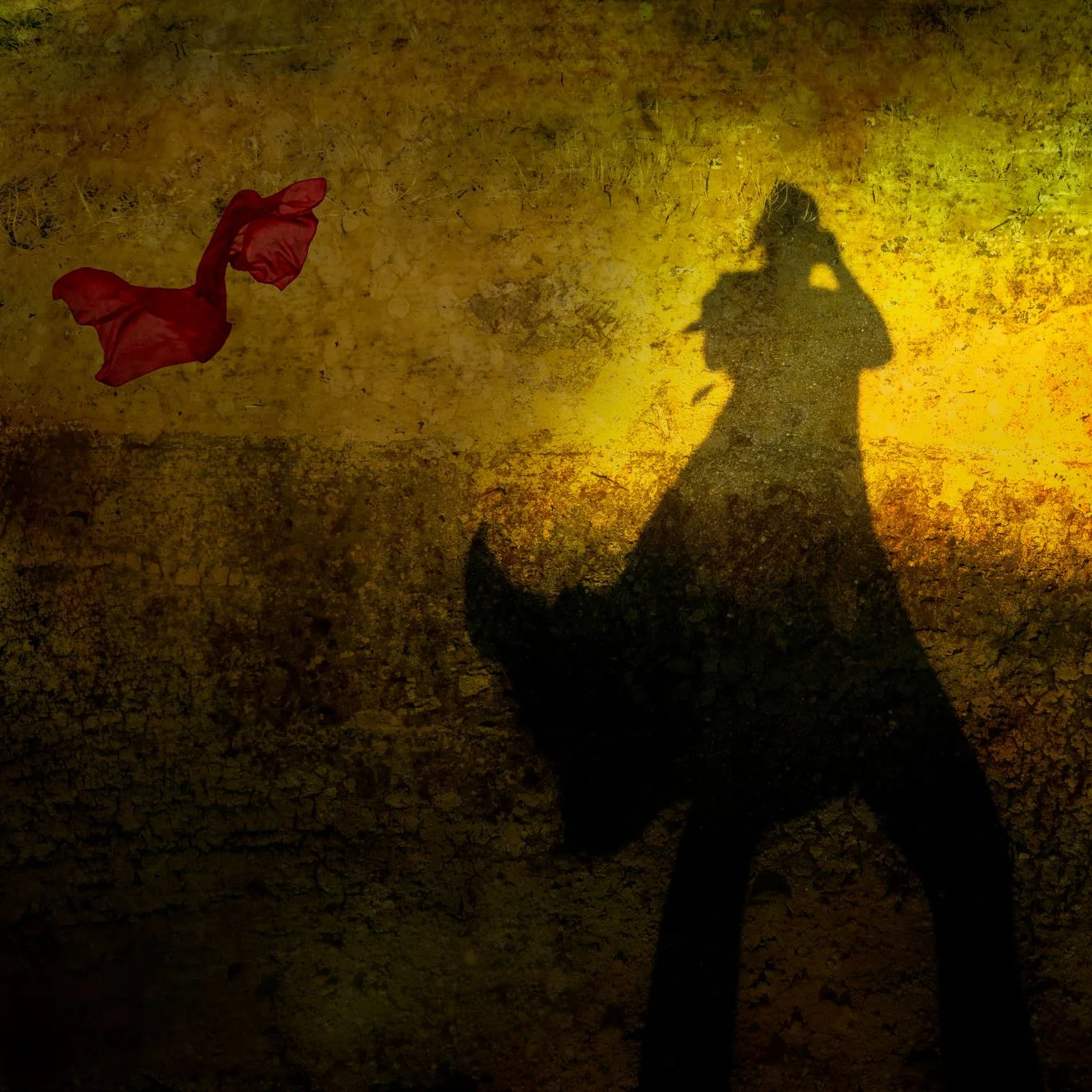 Muse_shadow