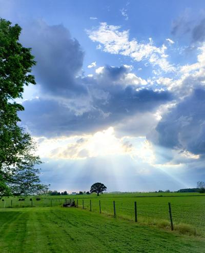 Sun rays beaming on farmers field