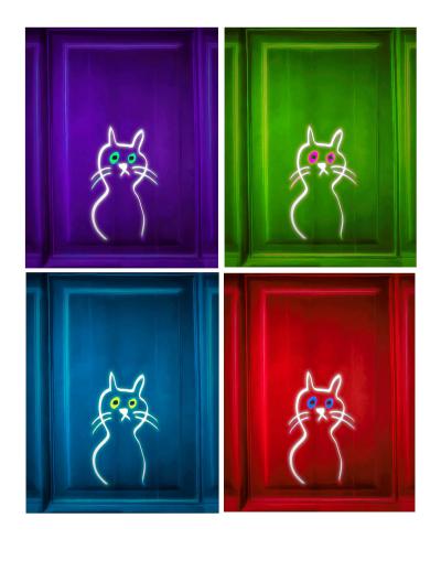 4 cats in various colors