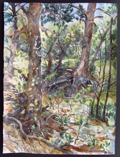 Kristen Muench "Root Place" 30x22 watercolor Pinery, CO 