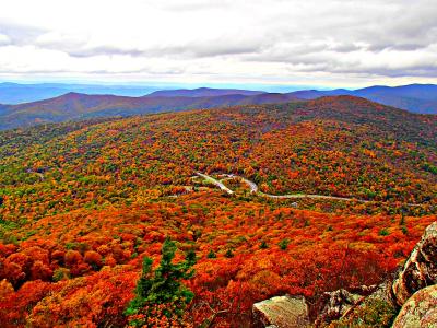 View from Mary's Rock on Skyline Drive