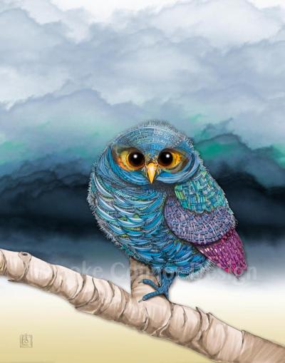 The Flammulated Owl, by Brooke Connor