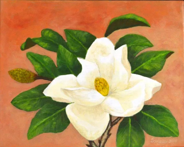 "Magnolia II"