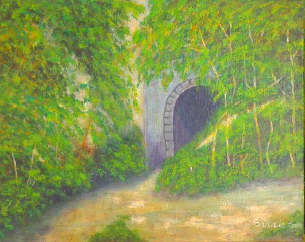 "Guajataca Tunnel", Quebradillas, P.R,