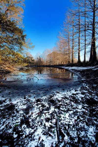 Denman Estate Pond