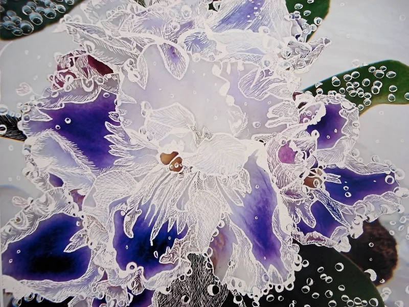 African Violet in Sparkling Water
